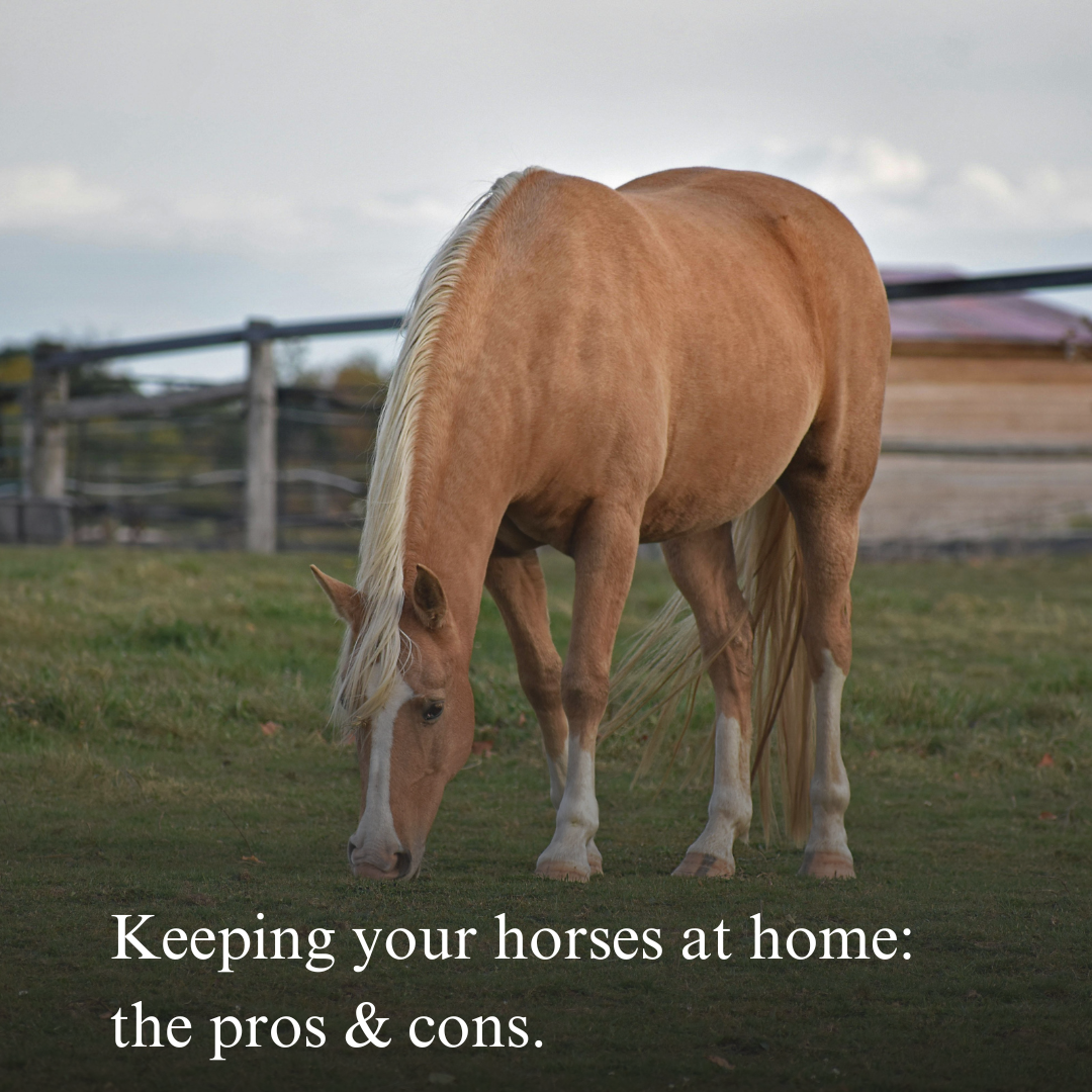 The Pros and Cons of Keeping Your Horses at Home